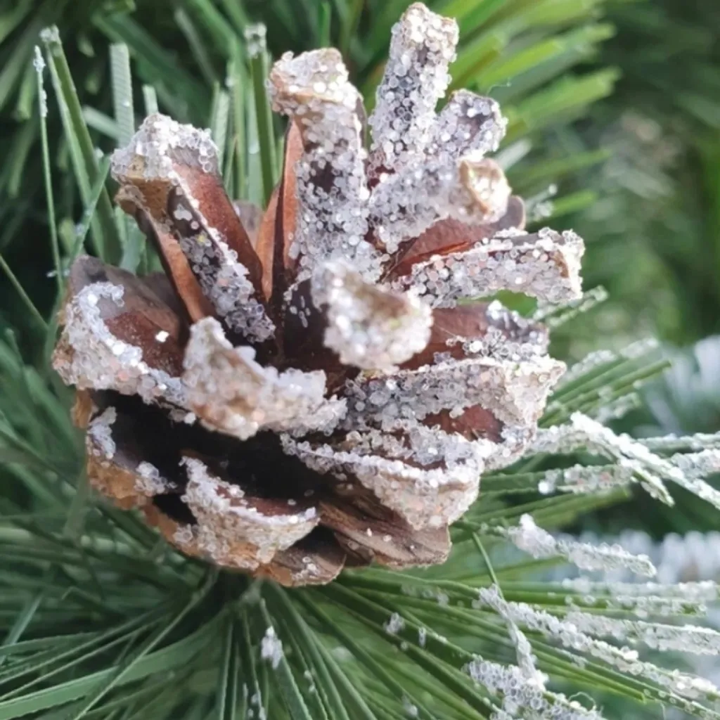 Weihnachtsbaum Diamant Kiefer Auf Naturstamm Mit Zapfen Dichter Christbaum 180cm – Bild 8