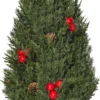 HOMCOM Weihnachtsbaum 50 Cm Christbaum Zypressen-Weihnachtsbaum Mit 7 Roten Beeren Und 6 Tannenzapfen Kunsttanne 170 Zweige Für Tisch Und Schreibtisch PVC PE Grün Ø27 X 47 Cm